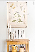 Candlesticks on simple console table below botanical illustrations on plate