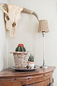 Potted cactus and succulent, one in wicker planter, next to table lamp on corner table below hunting trophy