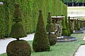 Formgeschnittene Buchsbäume und Springbrunnen mit Figuren im Versailler Schlosspark