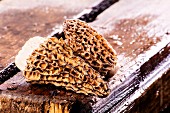 Fresh morel mushrooms on a wooden crate