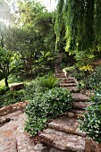 Steil abfallende Treppe im Waldähnlichen Garten