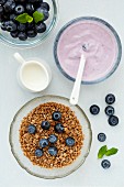 Bowls of crunchy breakfast cereal, fresh blueberries and blueberry yoghurt