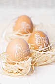 Painted Easter egg in straw nests