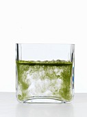 Water with herb powder in a thick glass