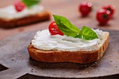 A slice of toast topped with cream cheese, tomato and basil