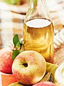 A bottle of apple juice and fresh apples at an autumnal picnic