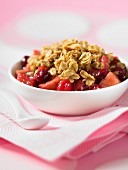 Crunchy muesli with apples and cranberries