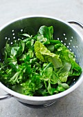 Lettuce leaves in a stainless steel colander