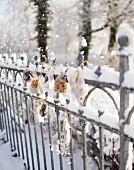 Small bags of biscuits hanging on snowy fence as Advent calendar