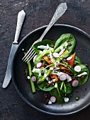 Spinach salad with asparagus, radishes and croutons