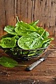 Fresh spinach in a metal basket on a wooden surface