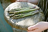 Green asparagus spears on a wooden platter