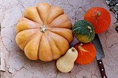 Assorted pumpkins, squashes and gourds