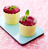 Berry sorbet with peppermint leaves