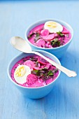 Cold beetroot soup with radishes, cucumber, dill, keffir and egg