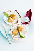 Breaded scallops with lime and a herb dip
