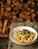 Pasta with squash