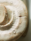 A freshly washed mushroom (close-up)