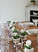 Wooden table set with white violas in kitchen
