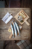 An arrangement of mackerel featuring raw mackerel, mackerel paste and grilled bread