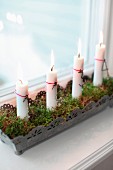 Lit candles in ornate metal window box lined with moss