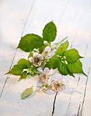 A sprig of raspberries on a wooden surface