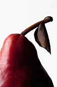 Detail of a red pear with a stem and a leaf