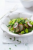 Radish and leek salad with fresh parsley
