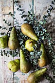 Pears and eucalyptus