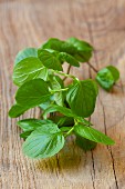 Fresh mint on a wooden surface
