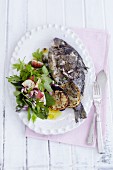 Grilled seabream with a wild herb salad