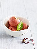 Peach and hibiscus sorbet