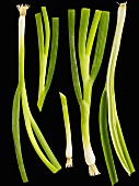 Spring onions on a black surface