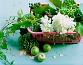 Plastikkorb mit Blume, Trauben- und Brombeerzweig
