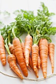 Organic carrots with stems
