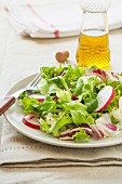 A fresh salad with radishes, lettuce and watercress