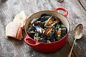 Steamed mussels with white bread