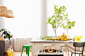 Vase of leaves and lemons arranged on rustic wooden table in front of window with airy curtains
