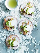 Scallops with cucumber and fried radish
