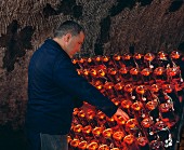 Arbeiter einer Champagner-Kellerei an einem Rüttelpult stehend