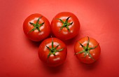 Four tomatoes on a red surface