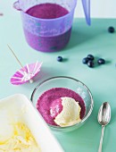 Blueberry Sky: a smoothie made with blueberries, vanilla ice cream and poppy seeds