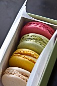 Colourful macaroons in a gift box