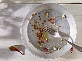 An empty salad plate