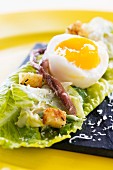 Cos lettuce with egg, anchovies, croutons and Parmesan