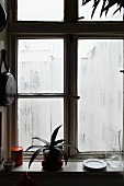 Dicht beschlagenes Küchenfenster, Topfpflanze und Geschirr auf Fensterbrett