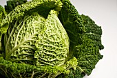 Savoy cabbage on a white surface