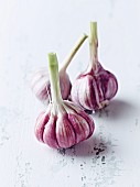 Three organic garlic bulbs