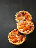 Apricots tartlets with sugar