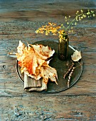 Herbstliche Deko mit Laubblättern & Zweigen in Vase